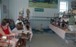 Sussex County Alpacas
