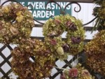 The Everlasting Garden