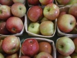 Apples